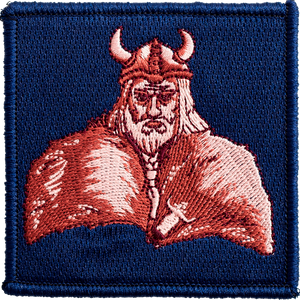 Valdemar Viking